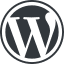 Wordpress Development services in Sonipat
